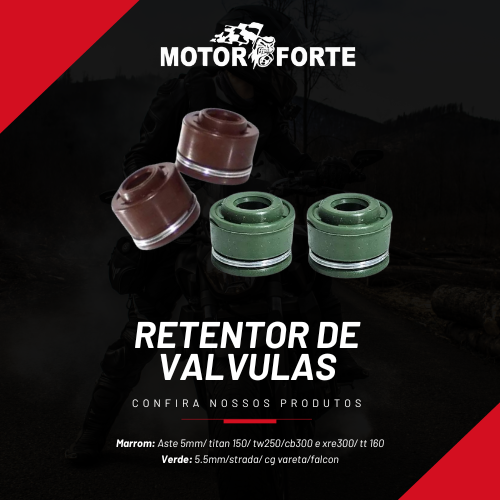 Descrição da Imagem 2